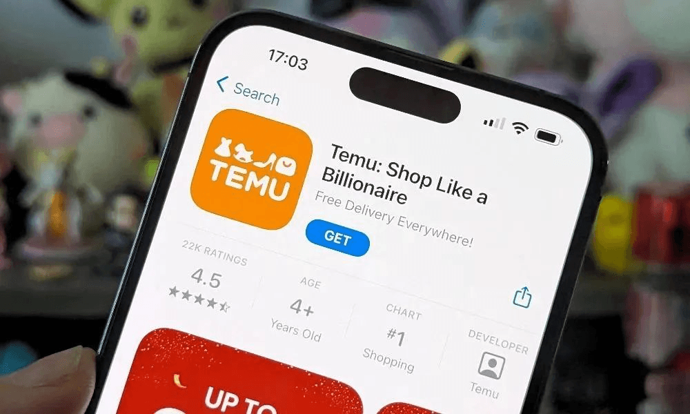 Why is Temu so cheap